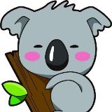 Koala考拉学