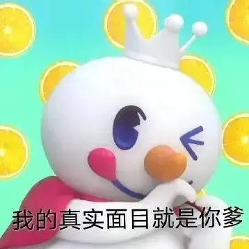 可爱的博美