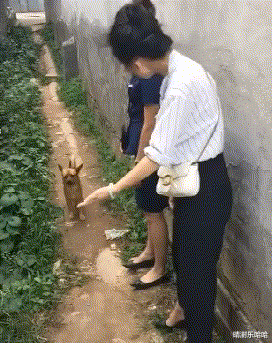 老师就给你们俩弹一遍,仔细看仔细听在努力一点就能蹦跶到水里了,加油