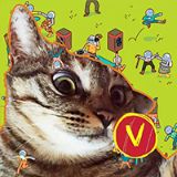 狸猫之一的动物圈