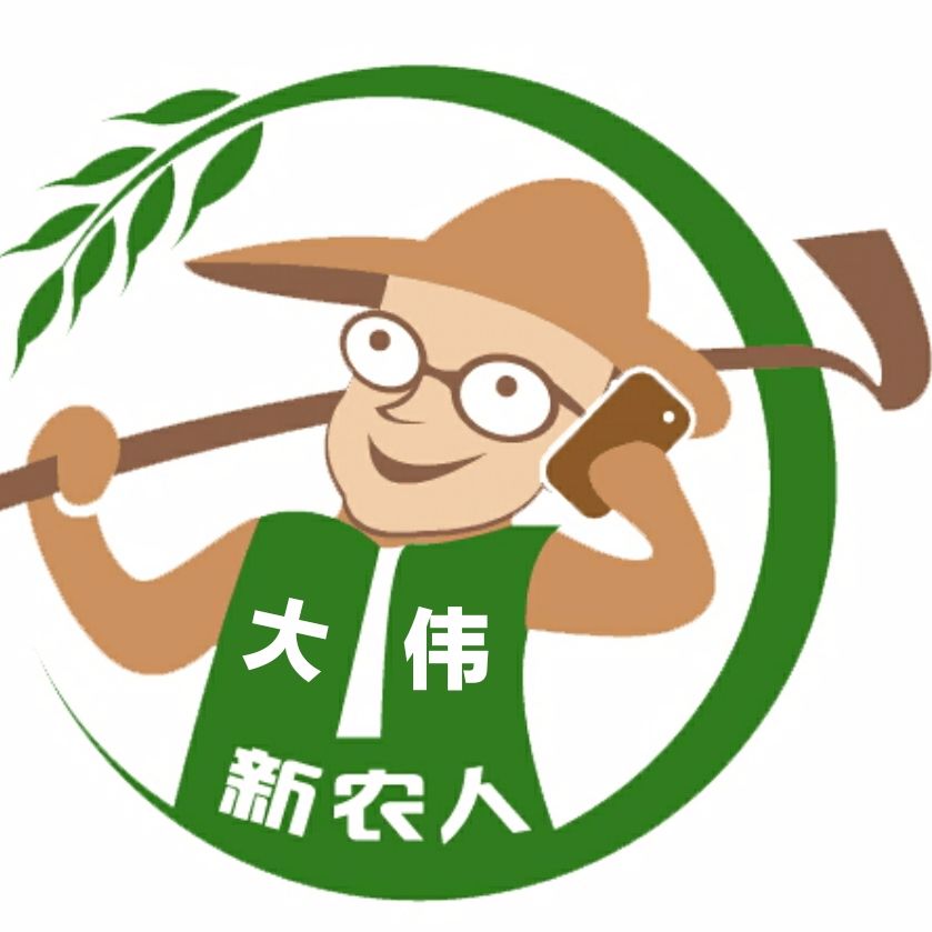 新农人大伟