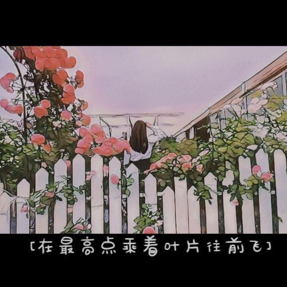 觅花君