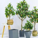 天天分享美好时刻