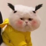 爱之翼