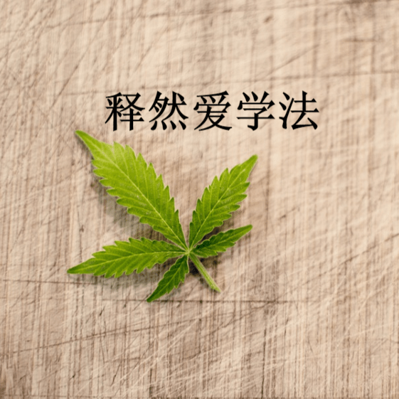 释然爱学法