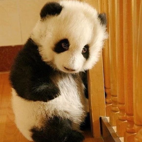 娱乐囤囤圈