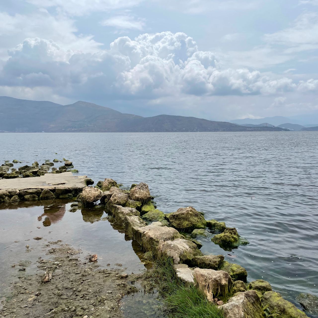 波波和你一起看世界