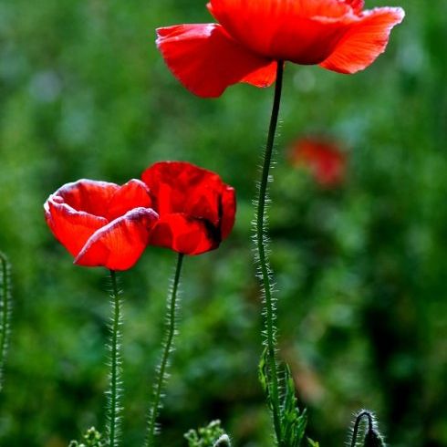 浩哥陪您玩游戏