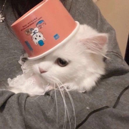 蓝蓝时尚颜究所