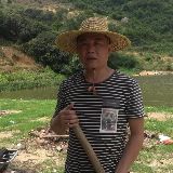 laolgye