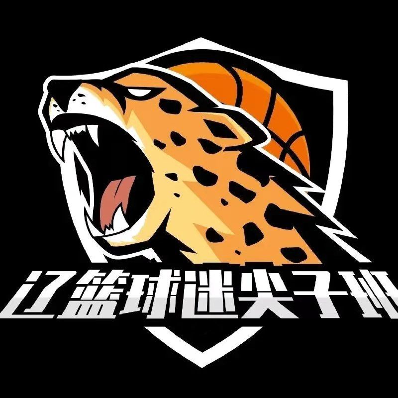 辽篮球迷尖子班