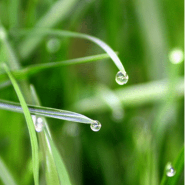 小狸电竞游戏解说V