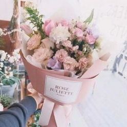 小草时尚的日记