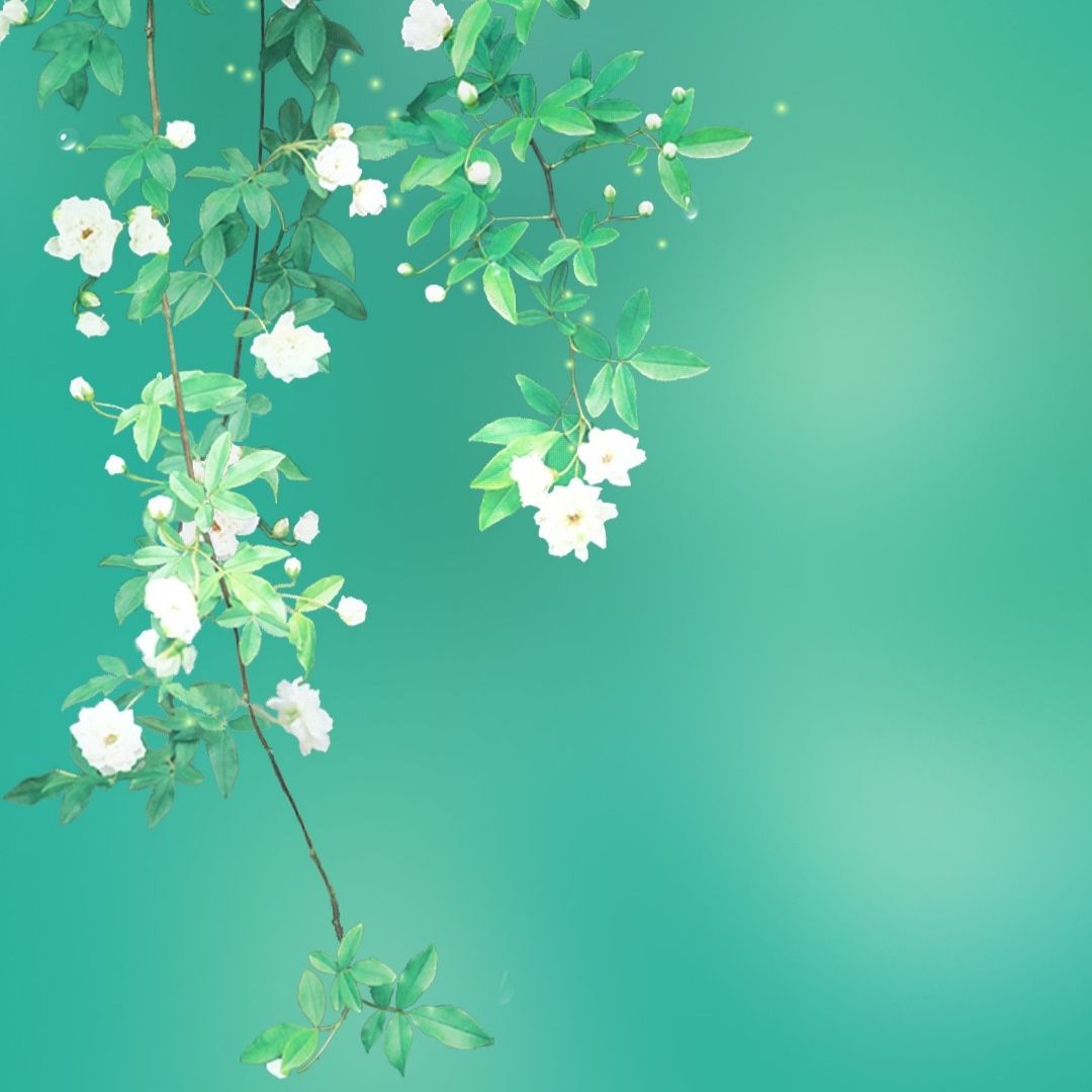 柚子小姐的趣生活