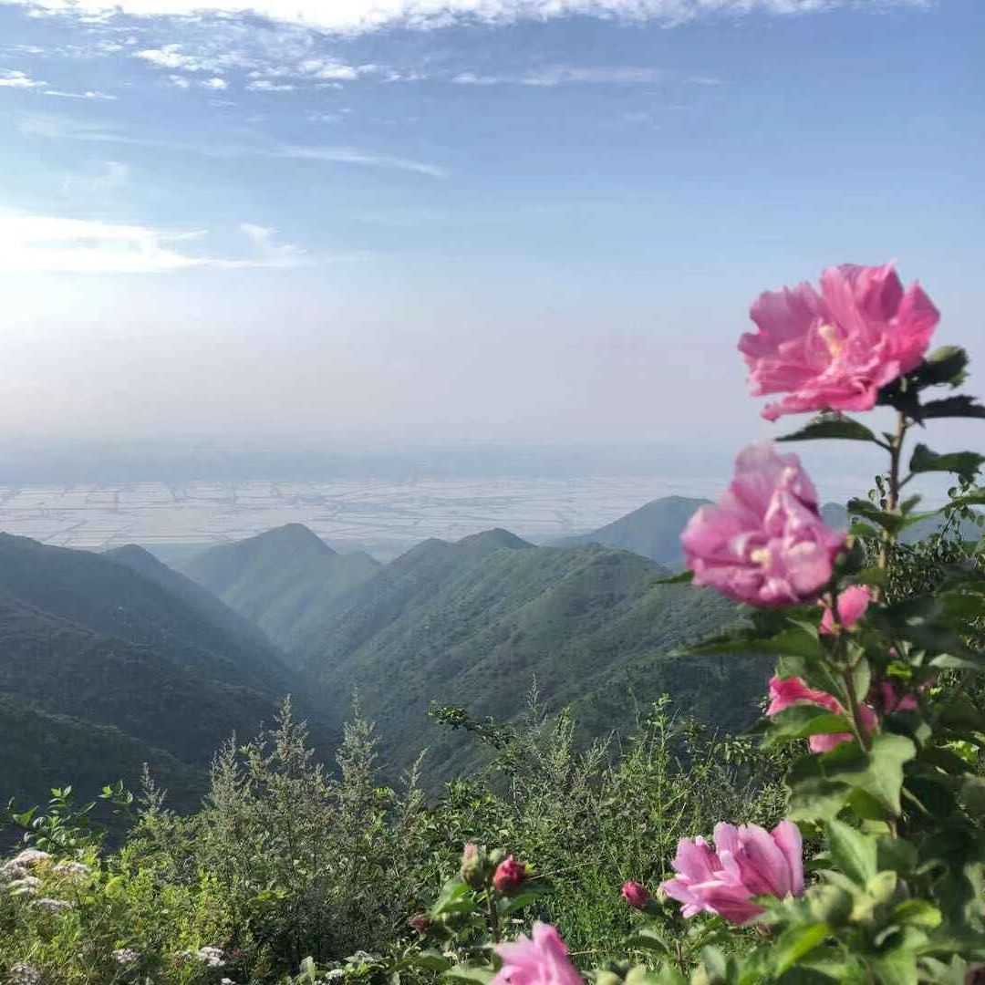晋南生态环境志愿者观察报告