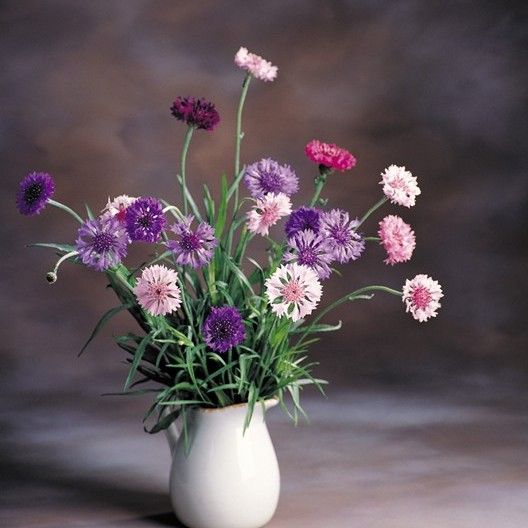 娱乐动态天天看