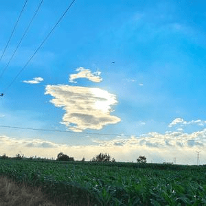 开心杨搞笑视频