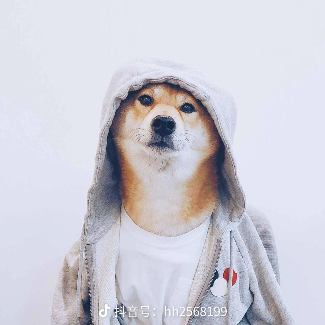 倜阳