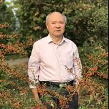 未名斋主书法研究