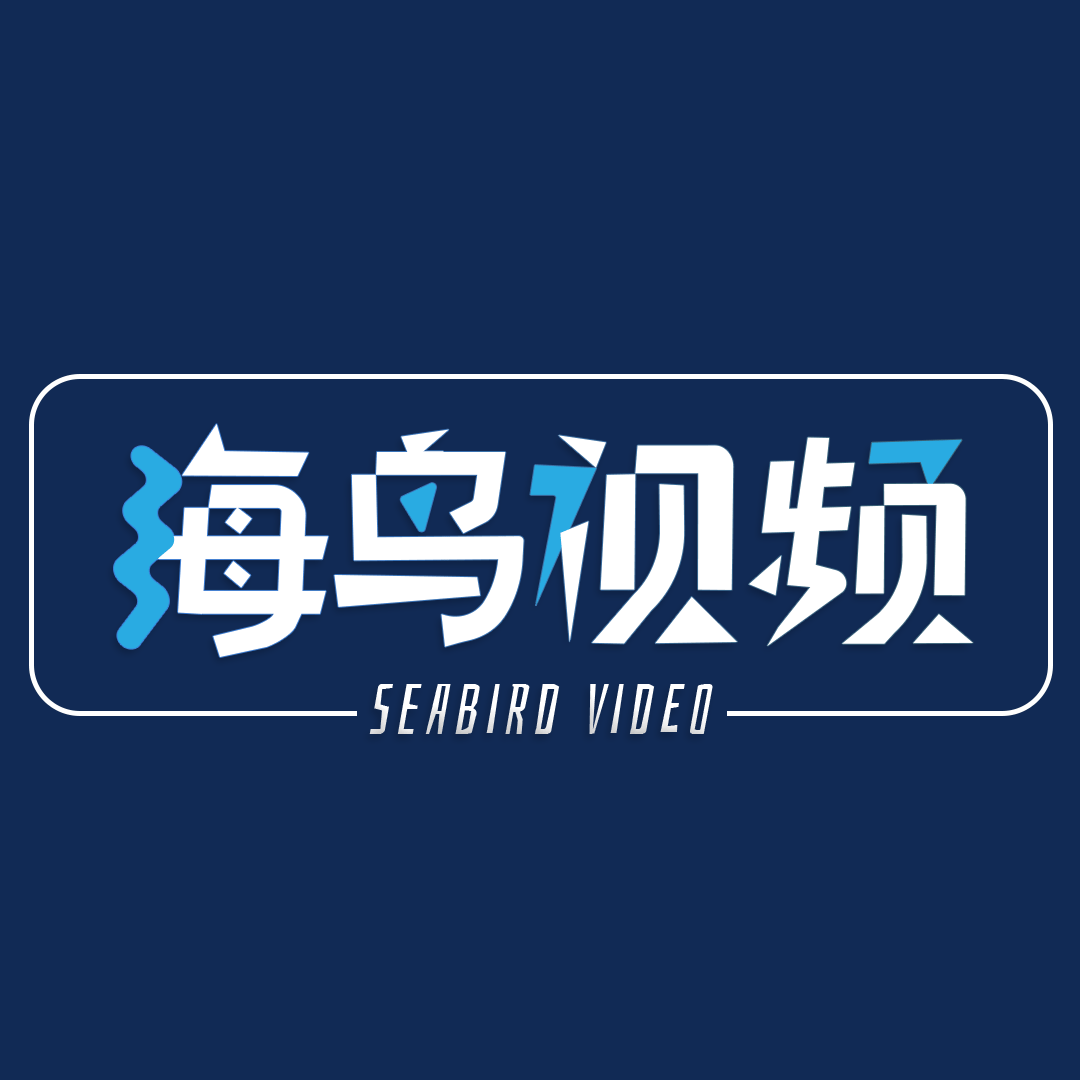 海鸟视频