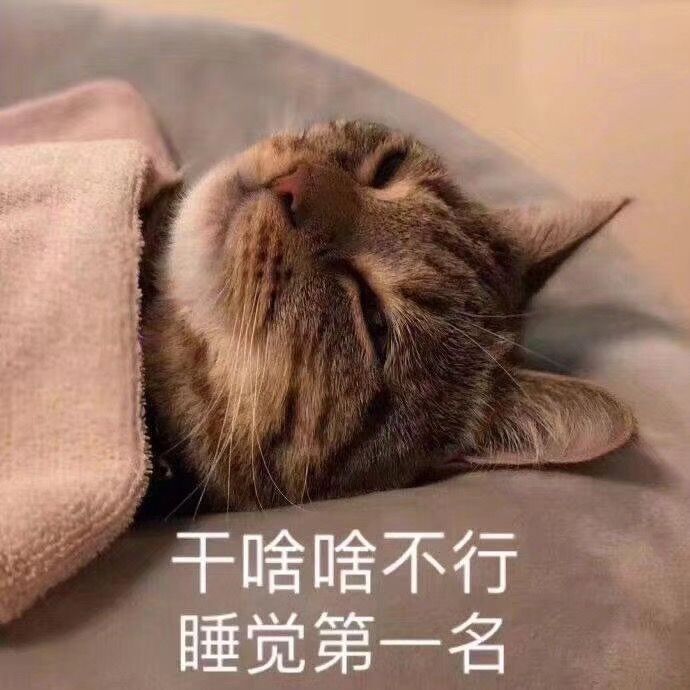 王者小壹