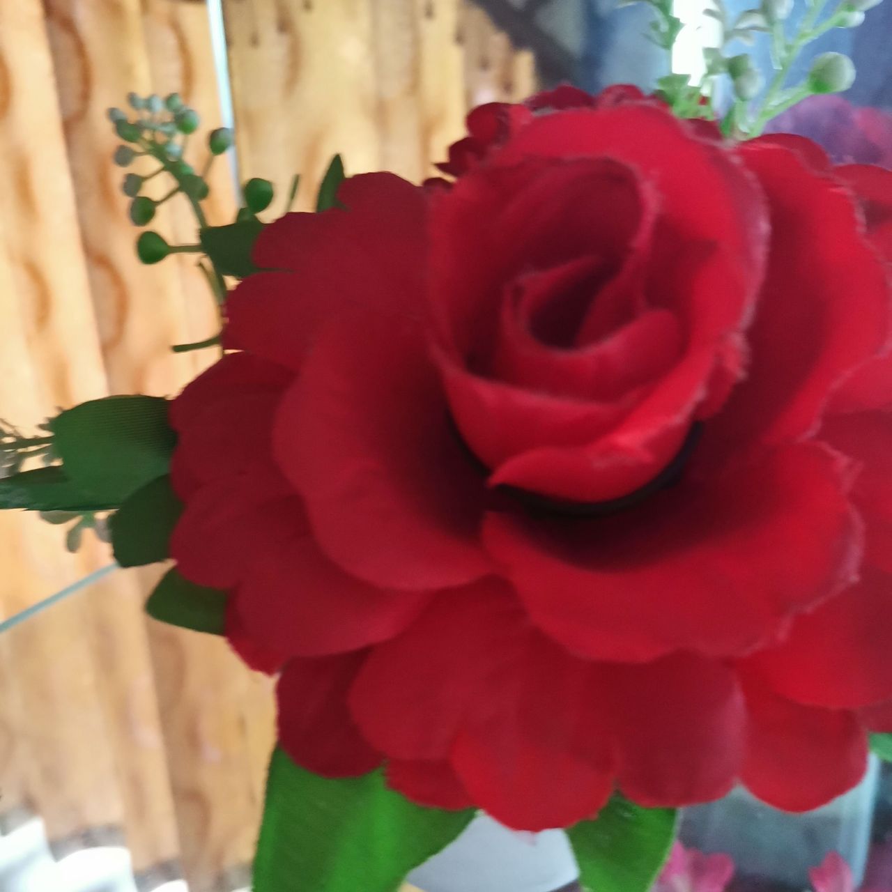 爱花爱草