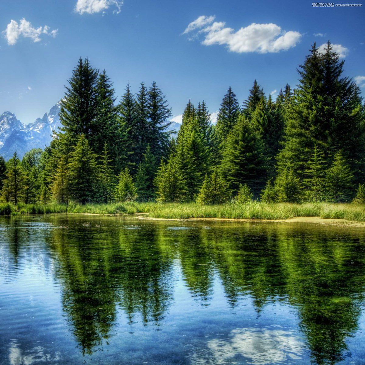 给你分享身边事