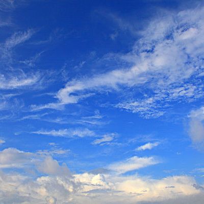 情感创作者风华