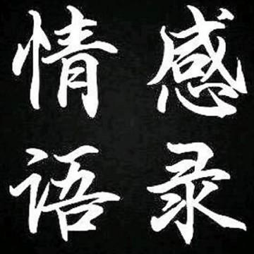 小哥才子音乐故事