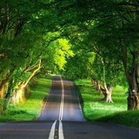 特斯拉的奇妙幻想