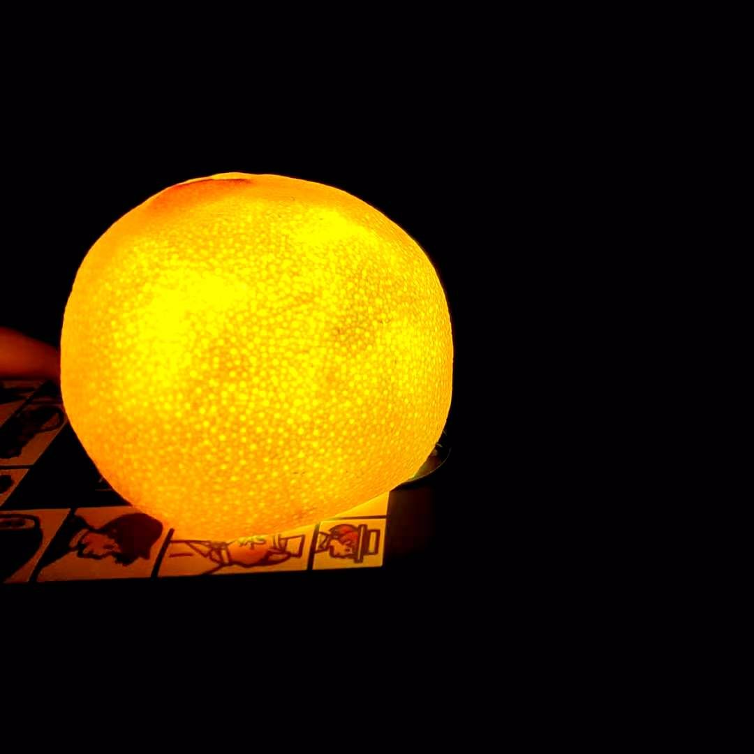 一只快乐的小猪