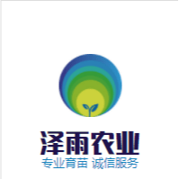 塔玛拉樱桃苗泰安泽雨农业公司