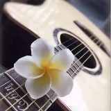 Corbin专业吉他知识