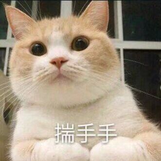 世界记忆大师龙雅