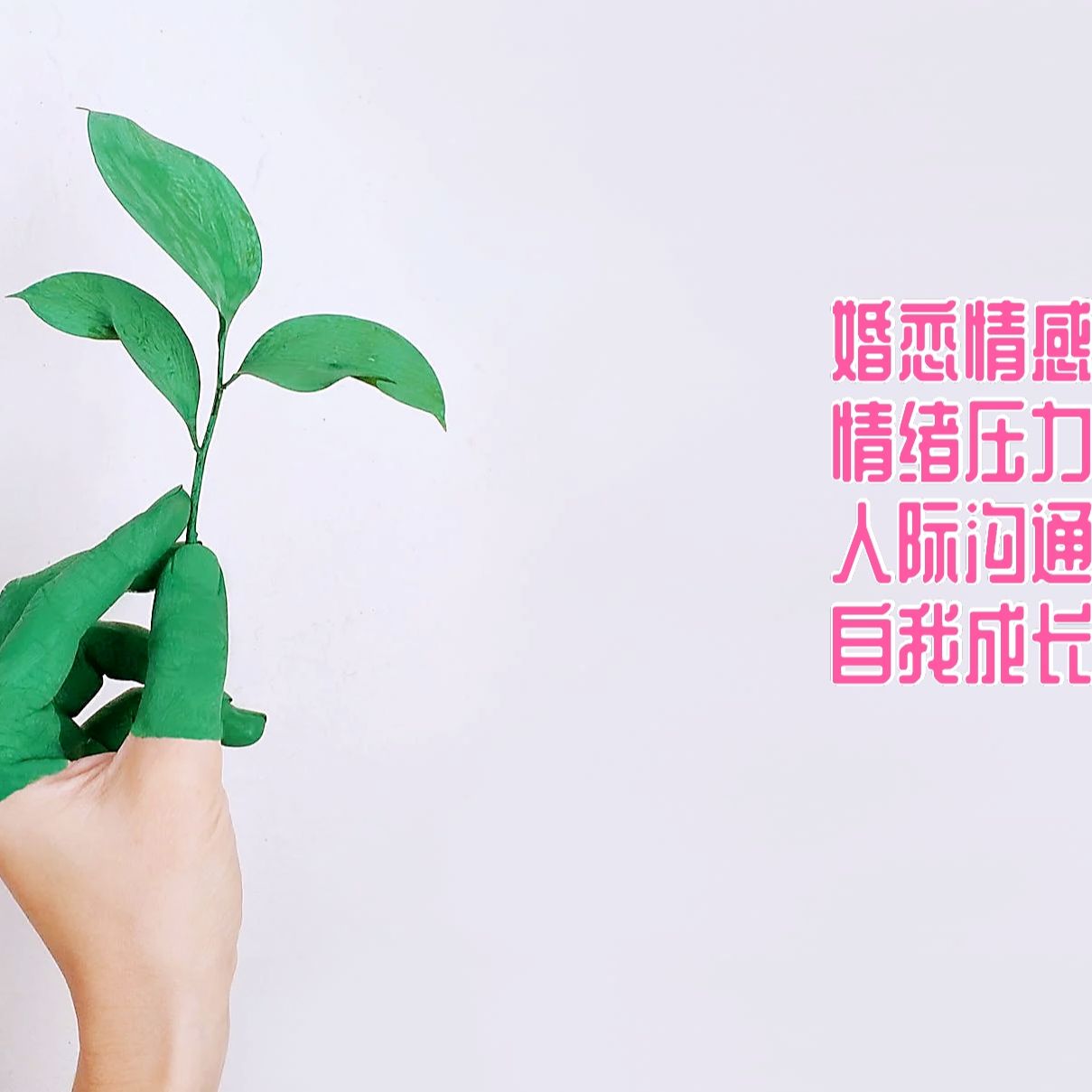 卿姐姐心理