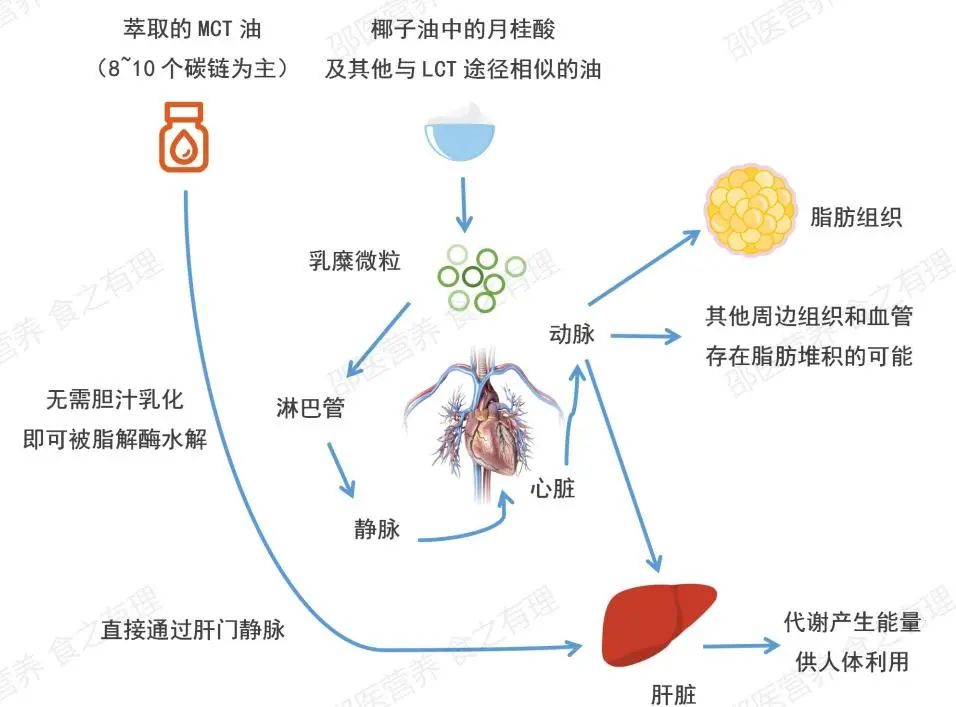 椰子油