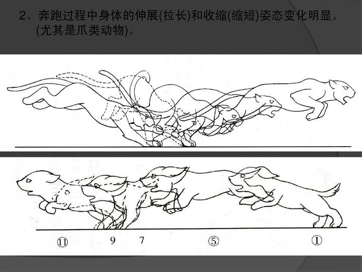 连续画画动起来图片