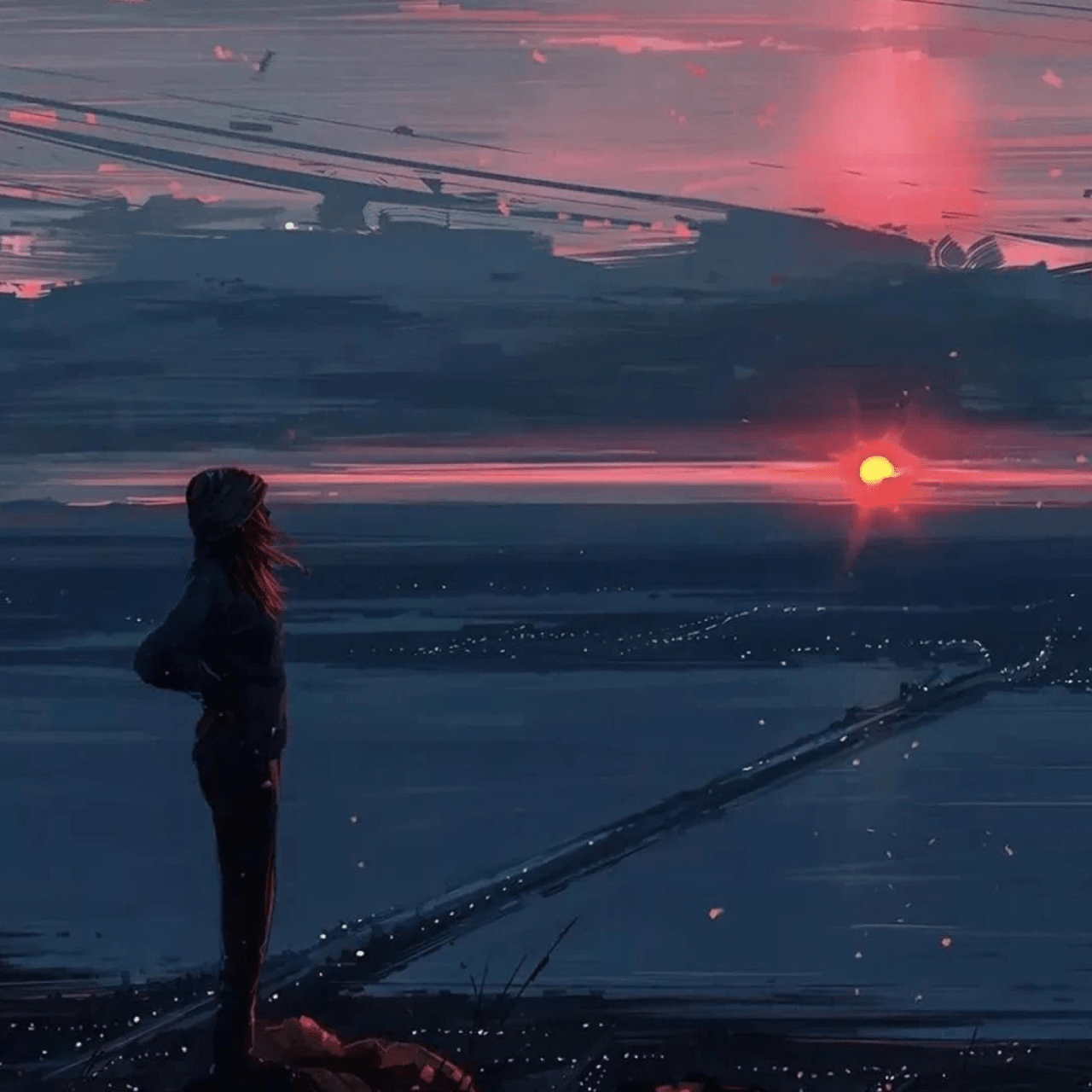 热心网友苏先生