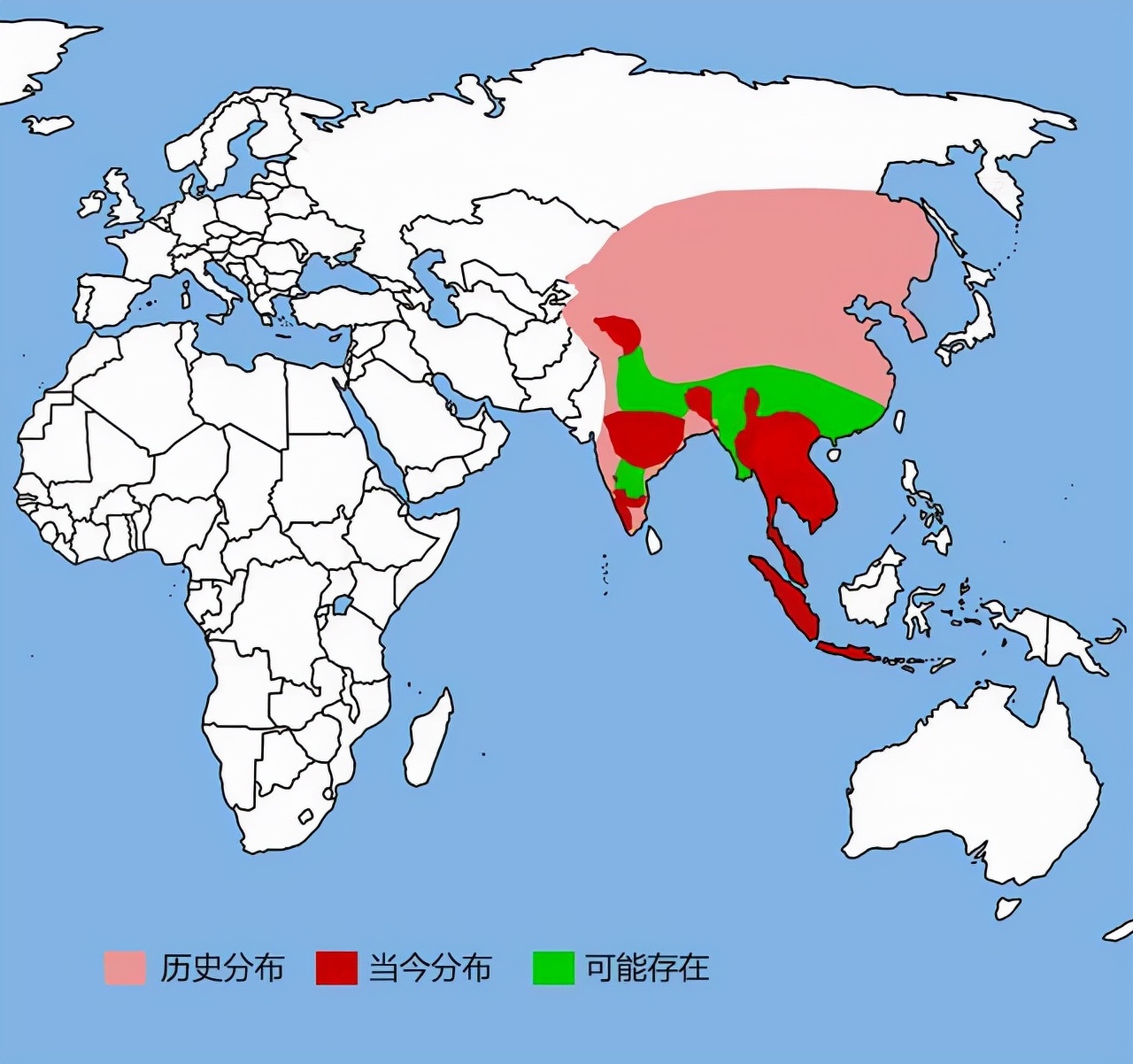 西伯利亚狼分布图图片