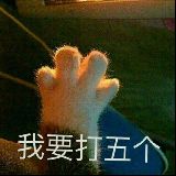 泉水指挥官攻略站