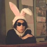 小怪兽趣事分享