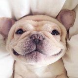 美英的搞笑生活