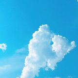 言西搞笑生活