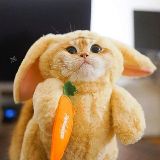 灰大狼