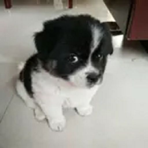 说逗乐段子
