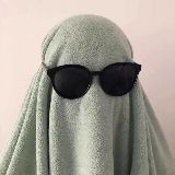 傻头傻脑的言西