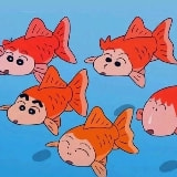 小胖子超搞笑