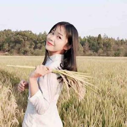 风趣转转