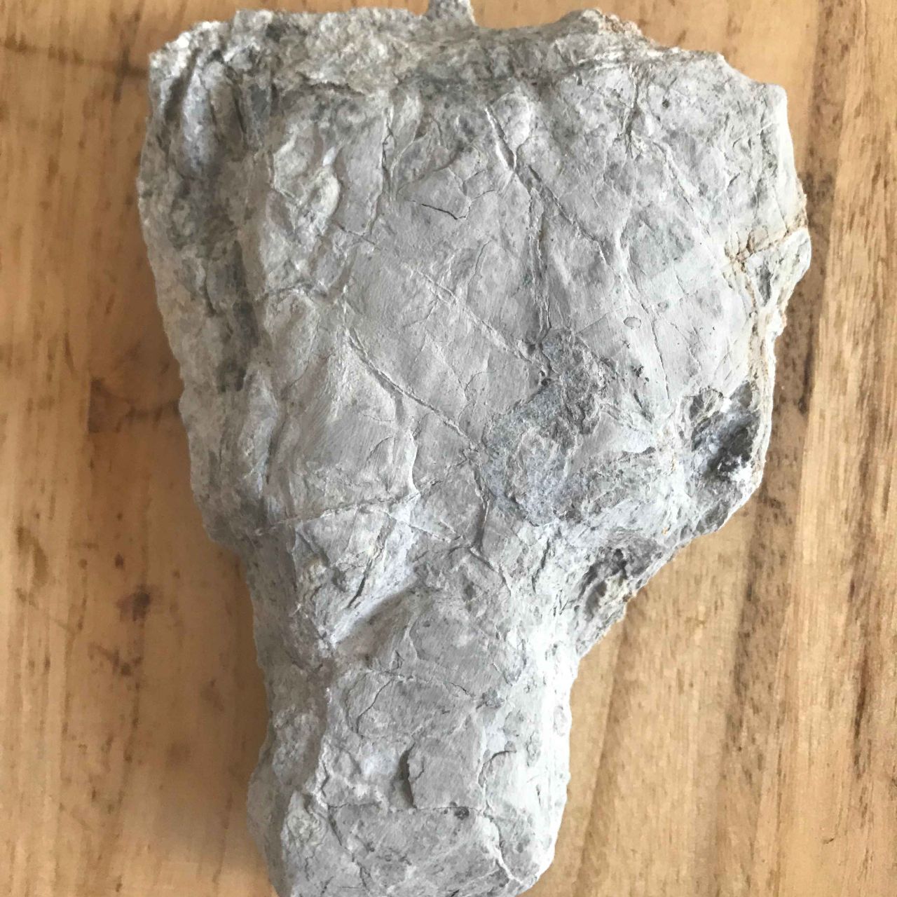 天捷建筑材料海泡石