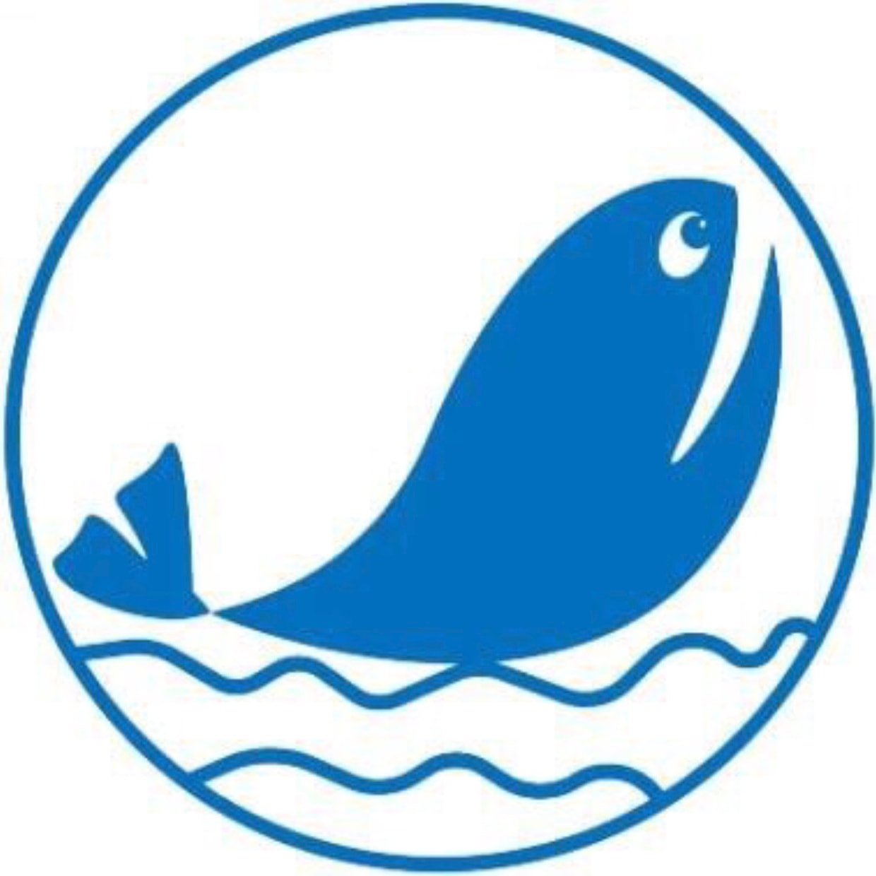 饭哥海钓